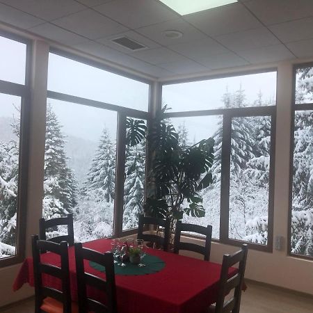Genco Hotel Mountain View Predeal Exteriör bild