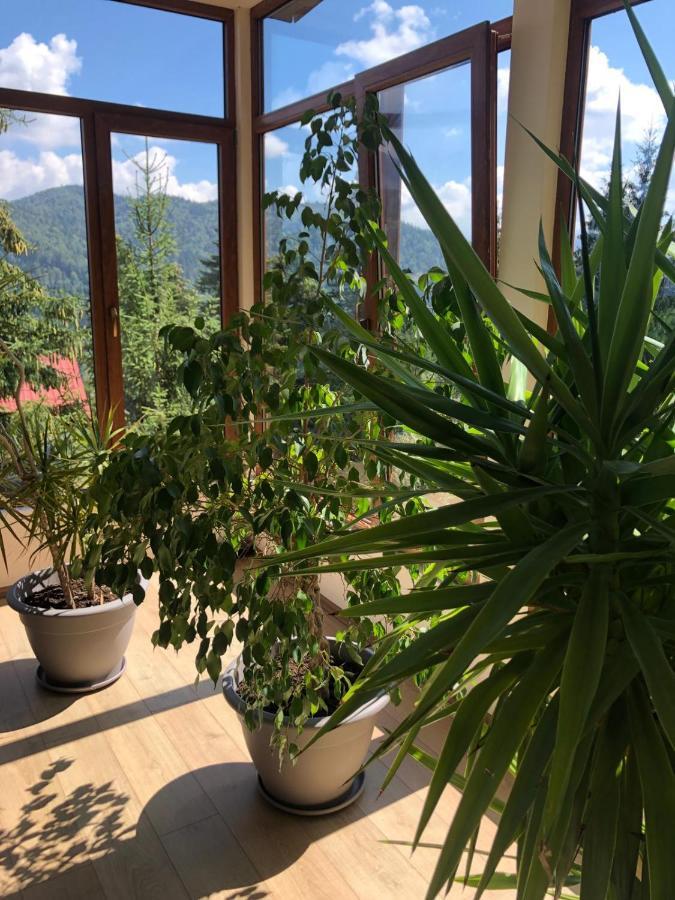 Genco Hotel Mountain View Predeal Exteriör bild