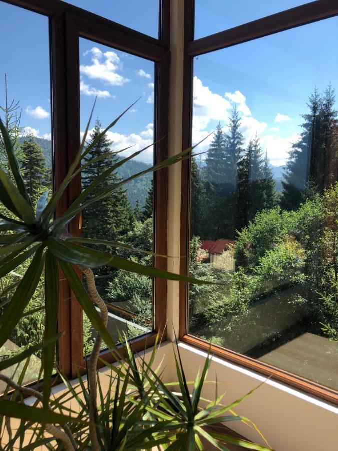 Genco Hotel Mountain View Predeal Exteriör bild