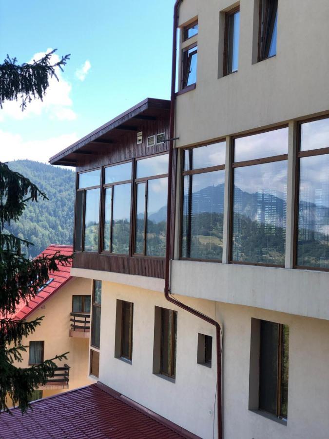 Genco Hotel Mountain View Predeal Exteriör bild