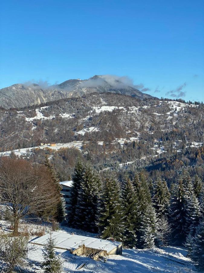 Genco Hotel Mountain View Predeal Exteriör bild