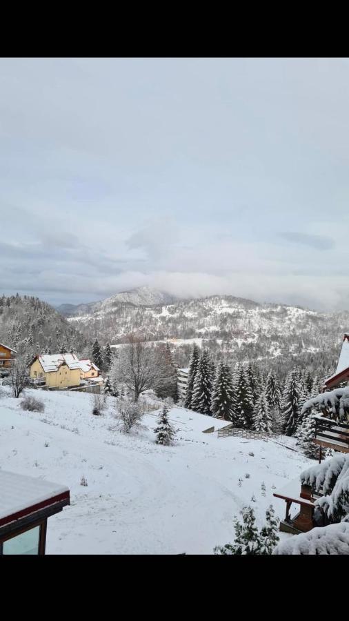 Genco Hotel Mountain View Predeal Exteriör bild